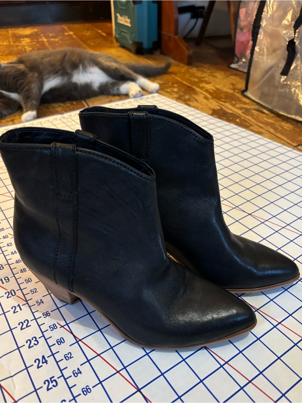 Frye Black Leather(?) Ankle Boots